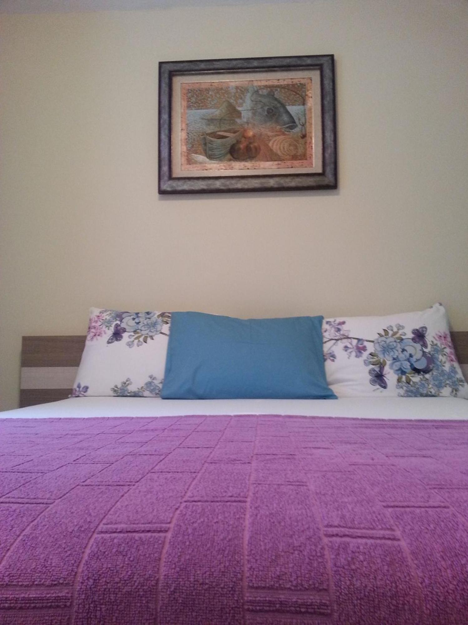 Apartments Lalevic دونجي مورينج المظهر الخارجي الصورة